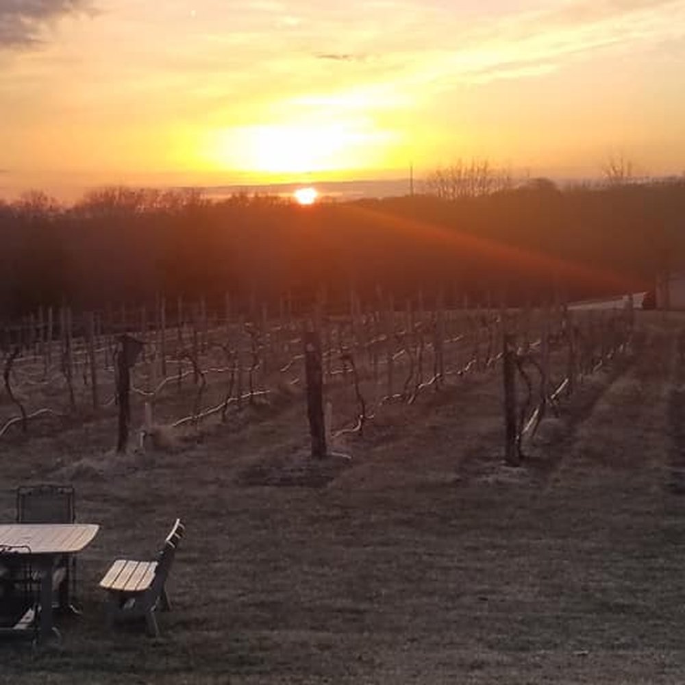 Ladoga Ridge Winery - Wineries Near Me - Smithville, Missouri Ladoga Ridge Winery - Wineries Near Me - Smithville, Missouri