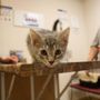 Photo of Broadway Veterinary Clinic