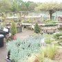 Photo of Brackenwood Plant and Garden Centre