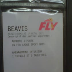 Fly