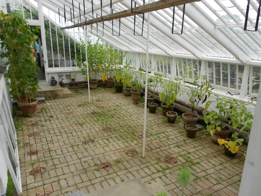 The Lost Gardens of Heligan by null