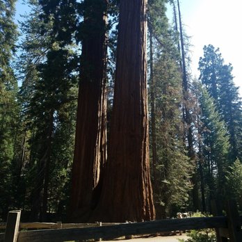 Grant Grove - Hiking Near Me - Badger, California Grant Grove - Hiking Near Me - Badger, California