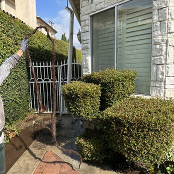 Ever Clean - Paul is very responsible. - Window Washing Near Me - Fullerton, California Ever Clean - Paul is very responsible. - Window Washing Near Me - Fullerton, California
