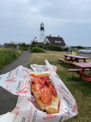 Cousins Maine Lobster Portland, ME by null