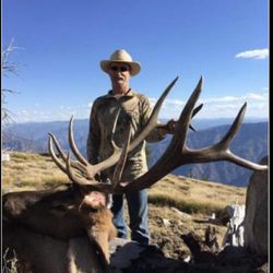 Bitterroot Outfitters