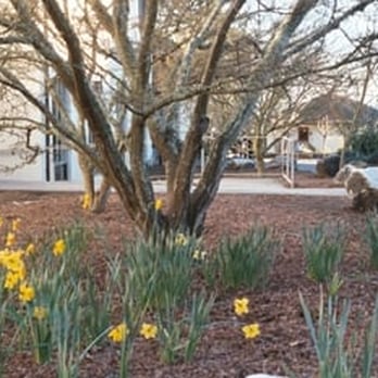 Stevenson College - Beautiful grounds - Colleges & Universities Near Me - Santa Cruz, California Stevenson College - Beautiful grounds - Colleges & Universities Near Me - Santa Cruz, California