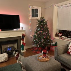 Johnny's Trees - Our living room decorated for Christmas with a 6.5ft Douglas fir tree from Johnny's in the corner.