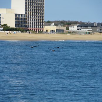 Rudee Tours - Tours Near Me - Virginia Beach, Virginia Rudee Tours - Tours Near Me - Virginia Beach, Virginia
