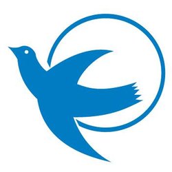 Visiting Angels Senior Home Care - America's Choice in Home Care