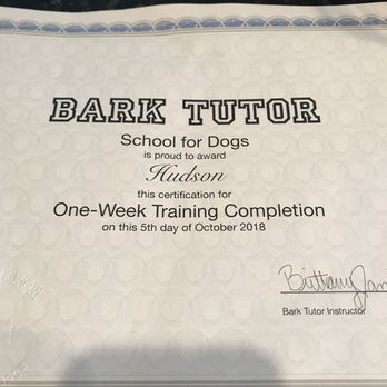 Bark Tutor - Pet Training Near Me - Indianapolis, Indiana Bark Tutor - Pet Training Near Me - Indianapolis, Indiana