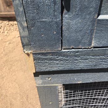 For The Birds CC - Edge is not painted. - Pet Services Near Me For The Birds CC - Edge is not painted. - Pet Services Near Me