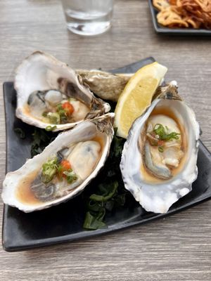 SanKai by null SanKai by null