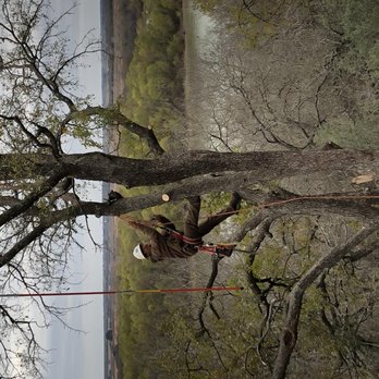 Texas Rainbow Tree Service - a man cutting a tree - Tree Services Near Me Texas Rainbow Tree Service - a man cutting a tree - Tree Services Near Me