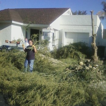 Hardwood Scapes - Adam and Chris worked together all day long to cut down the tree and removed everything from the property! - Tree Services Near Me