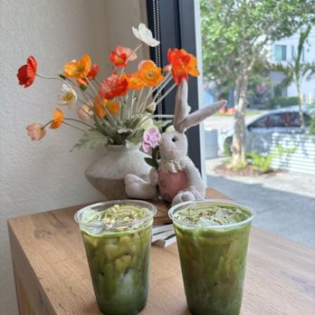 Daycation Coffee - Coffee & Tea Near Me - St. Petersburg, Florida Daycation Coffee - Coffee & Tea Near Me - St. Petersburg, Florida