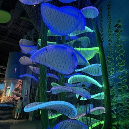 A climbing area for kids