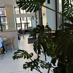 Prince Street Cafe - York