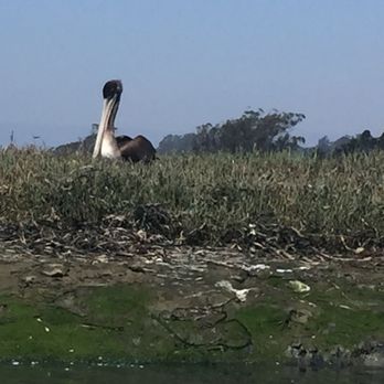 Elkhorn Slough - Parks Near Me - Moss Landing, California