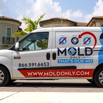 Mold Only - Mold Only - The Best South Florida Mold Remediation Company - Damage Restoration Near Me - Lake Park, Florida Mold Only - Mold Only - The Best South Florida Mold Remediation Company - Damage Restoration Near Me - Lake Park, Florida