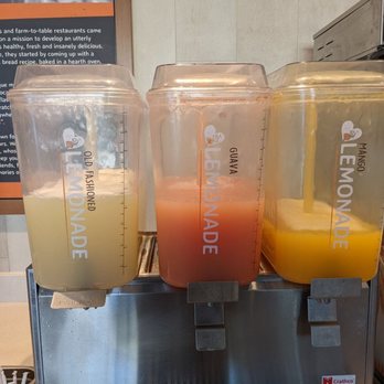 Urbane Cafe - Dynamite lemonades, the mango was da bomb! - Sandwiches Near Me - Bakersfield, California