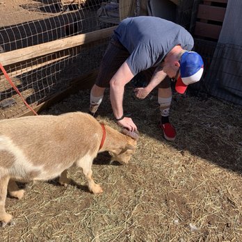 Maui Animal Farm - Petting Zoos Near Me - Lahaina, Hawaii
