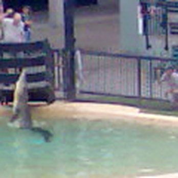 Australia Zoo - Show - Zoos Near Me - Beerwah, QLD
