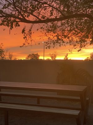 Ex Novo Brewing Company by null