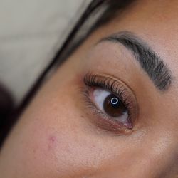 The Lash Hub