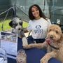 Lucky Puppy Pet Care