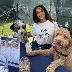 Lucky Puppy Pet Care