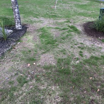 K Wilcox Landscaping - Landscaping Near Me - West Greenwich, Rhode Island