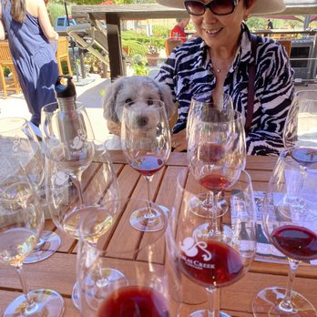 Tablas Creek Vineyard - Dog is puzzled by the wines. - Wineries Near Me - Paso Robles, California