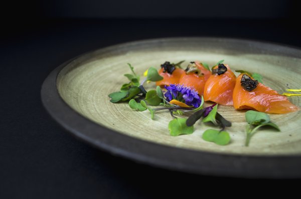 totoya sushi lounge by null