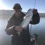 Photo of Talkin Tackle
