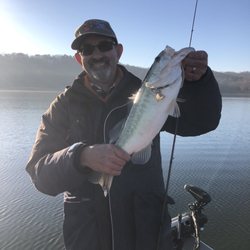 Talkin Tackle - Large mouth!