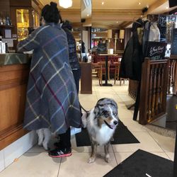 Le Franc Tireur - Inside and a beautiful guest