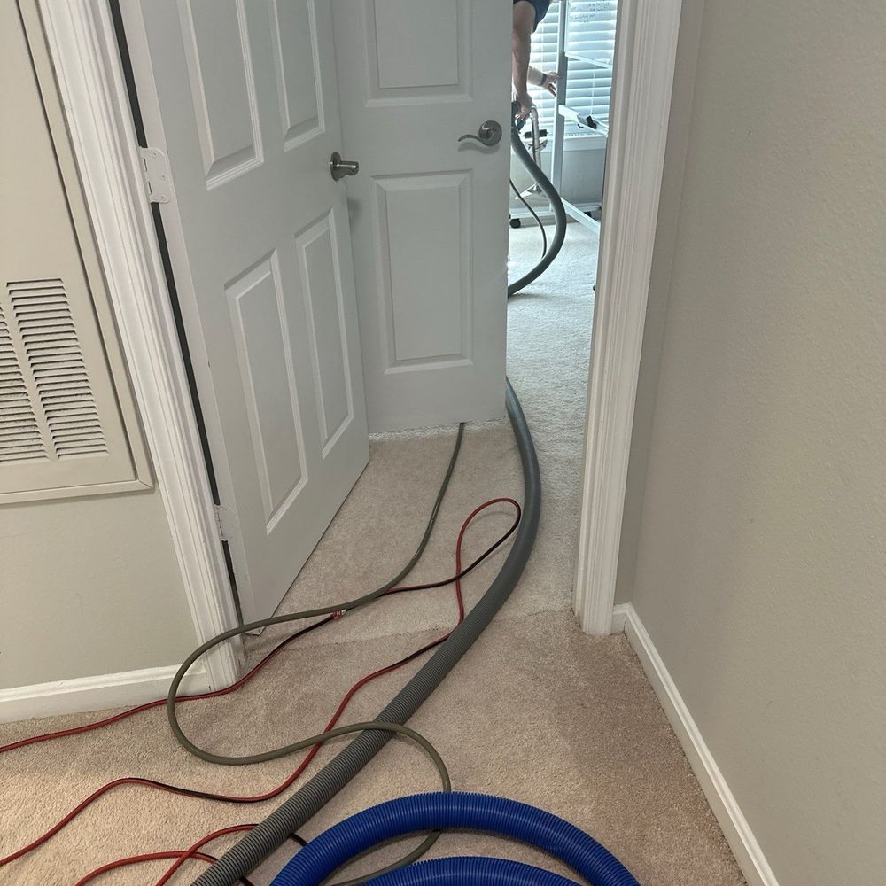 Carpet cleaning Carpet cleaning