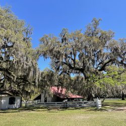 Hofwyl-Broadfield Plantation - Hofwyl-Broadfield Plantation