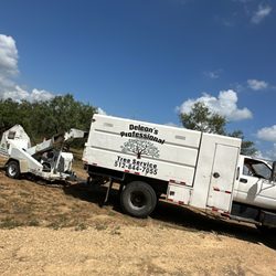 Deleon's Professional Tree Service