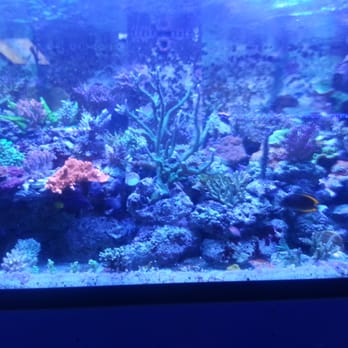 Total Fish & Pets - Marvelous bio system - Pet Stores Near Me - Alhambra, California Total Fish & Pets - Marvelous bio system - Pet Stores Near Me - Alhambra, California