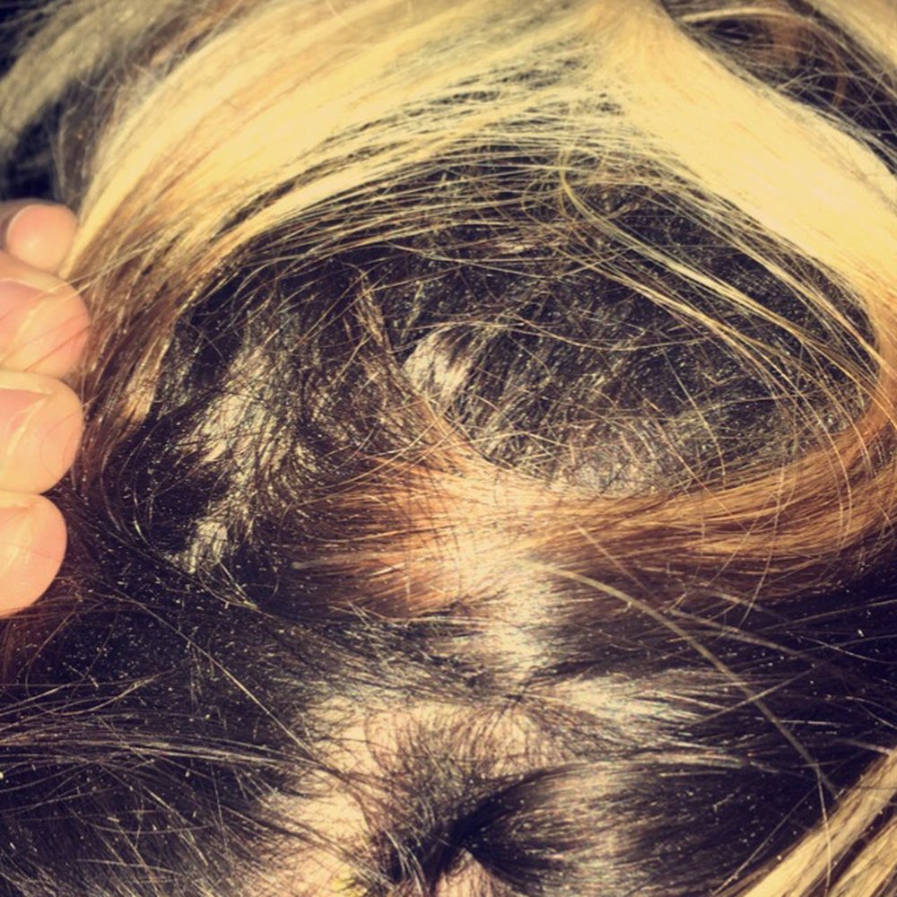 Public Image Ltd The Salon - my scalp - Hair Salons Near Me - Pompton Plains, New Jersey Public Image Ltd The Salon - my scalp - Hair Salons Near Me - Pompton Plains, New Jersey