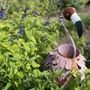 Photo of Bay Haven Inn of Cape Charles