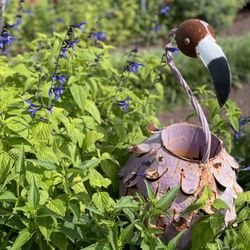 Bay Haven Inn of Cape Charles - Adorable garden ornament.