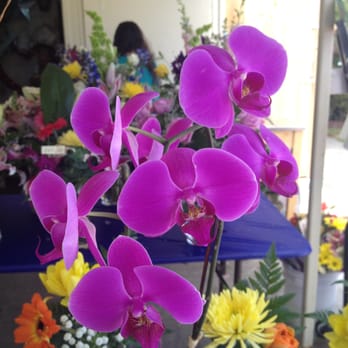 Camellia Wedding Flowers - Amazing Orchids - Florists Near Me - San Diego, California