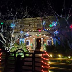 Christmas Tree Lane - Lights and decor