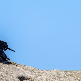 Elephant Rocks - Elephant Rocks - Tomales, CA - Landmarks & Historical Buildings Near Me - Dillon Beach, California