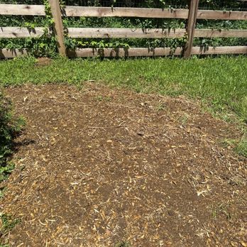 Absolute Stump Grinding - Stump removed - Tree Services Near Me Absolute Stump Grinding - Stump removed - Tree Services Near Me