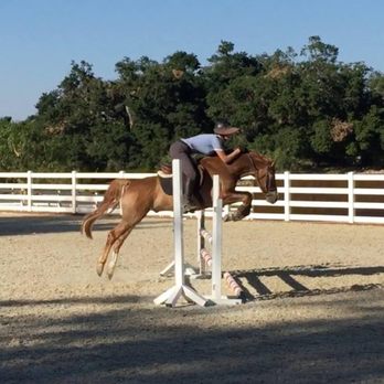 Enriched Equestrian - Horseback Riding Near Me Enriched Equestrian - Horseback Riding Near Me