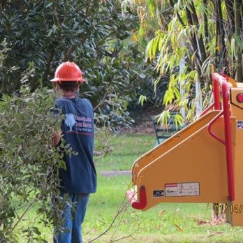 Windsor & Son Tree Care Services - untitled - Tree Services Near Me - Sorrento, Florida Windsor & Son Tree Care Services - untitled - Tree Services Near Me - Sorrento, Florida
