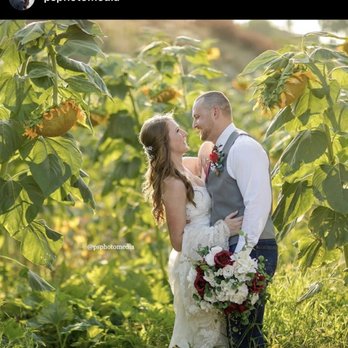 Peltzer Winery - Bride and groom - Wineries Near Me - Temecula, California Peltzer Winery - Bride and groom - Wineries Near Me - Temecula, California